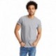 Hanes 5250T Men's Authentic-T T-Shirt